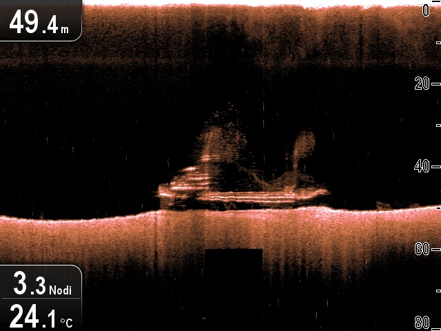 Raymarine CP100 CHRIP DownVision sonder