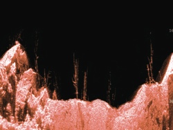 Raymarine Dragonfly