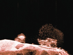 Raymarine Dragonfly