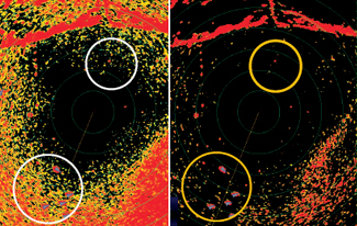 Raymarine Open Array radar